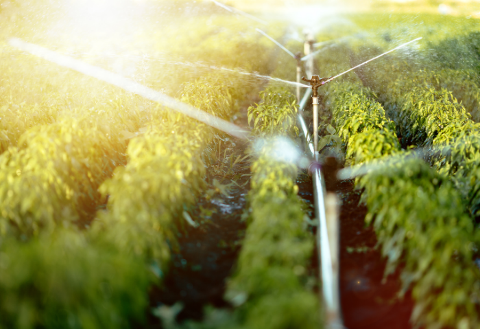 SP Águas abre prazo para declaração de volumes de recursos hídricos de 2026