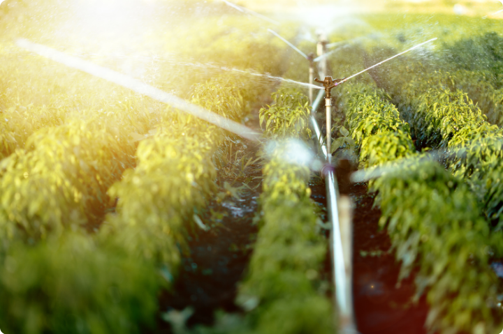 SP Águas abre prazo para declaração de volumes de recursos hídricos de 2026